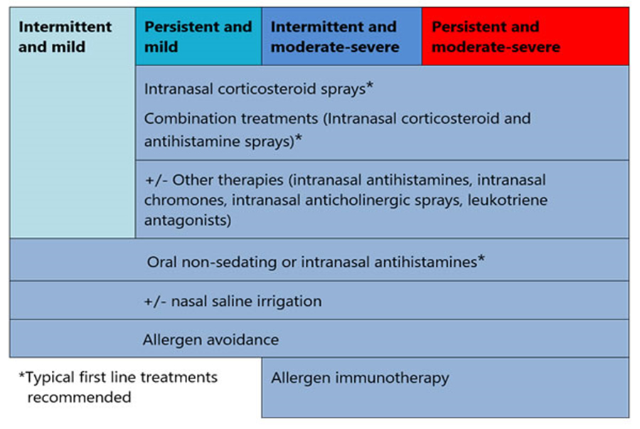 medications for allergic rhimitis